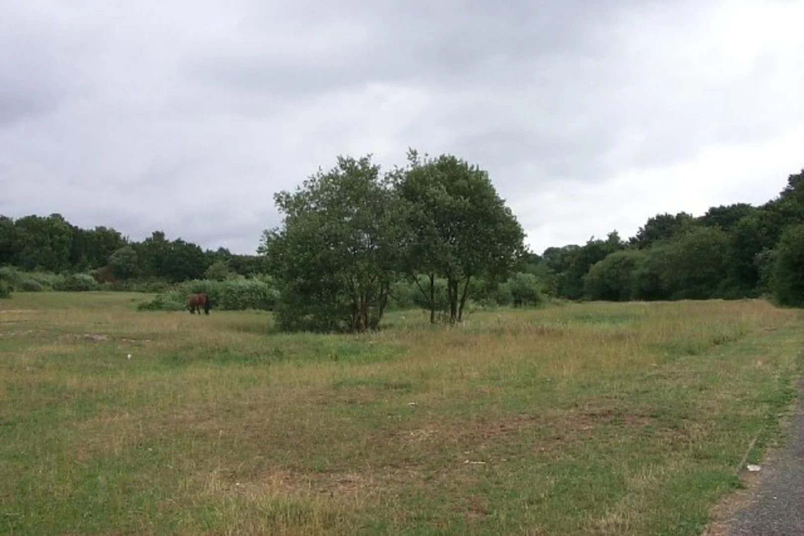 An image depicting the trail Shoreburs Greenway Walk and its surrounding area.