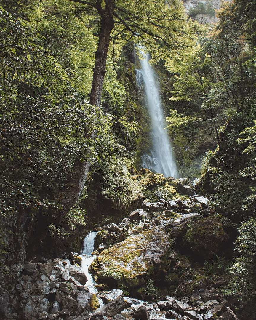 An image depicting the trail Whisky Falls and its surrounding area.