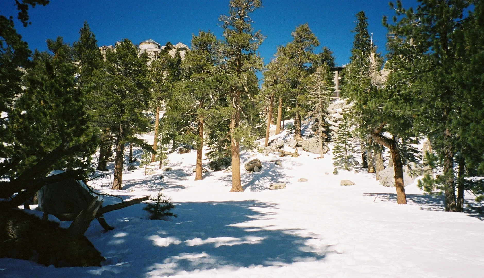 An image depicting the trail Willow Creek, Hidden Lake and Round Valley Loop Trail and its surrounding area.