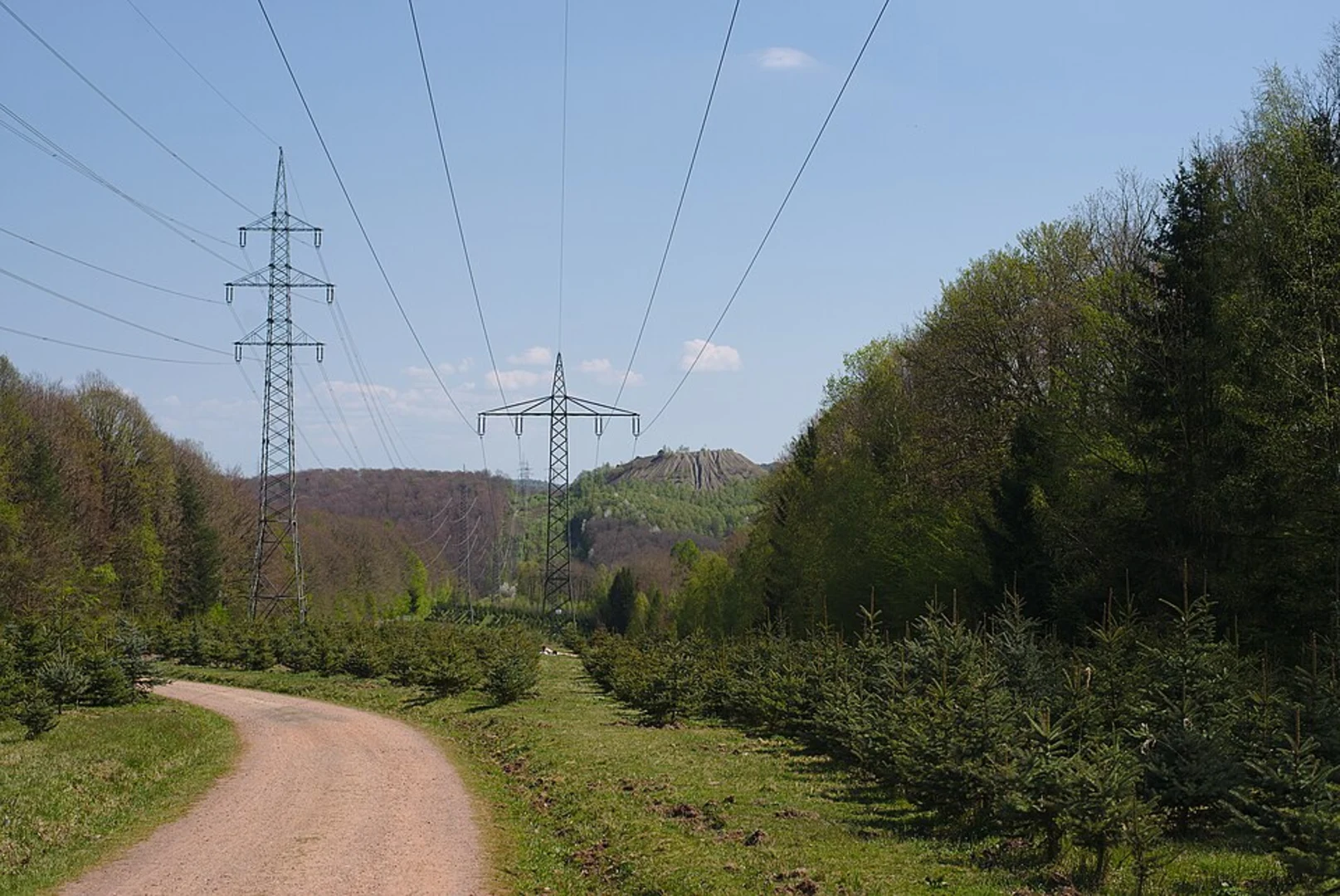 An image depicting the trail Steinbachtal and Unglücksberg Loop and its surrounding area.