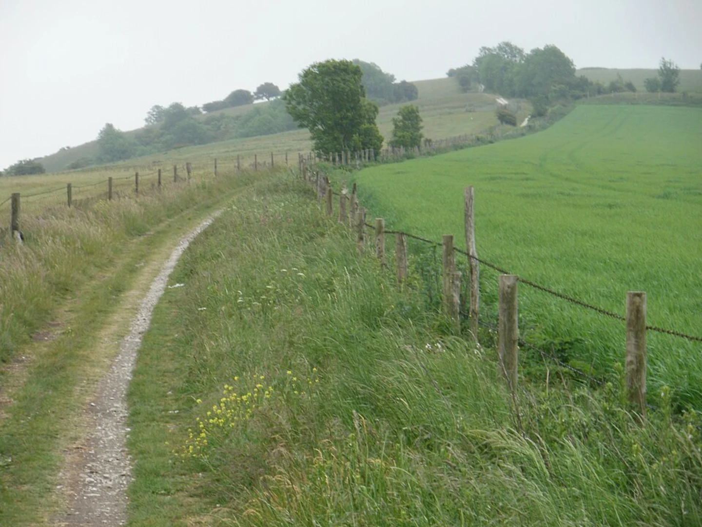 An image depicting the trail Amberley, North Stoke and Burpham Loop and its surrounding area.