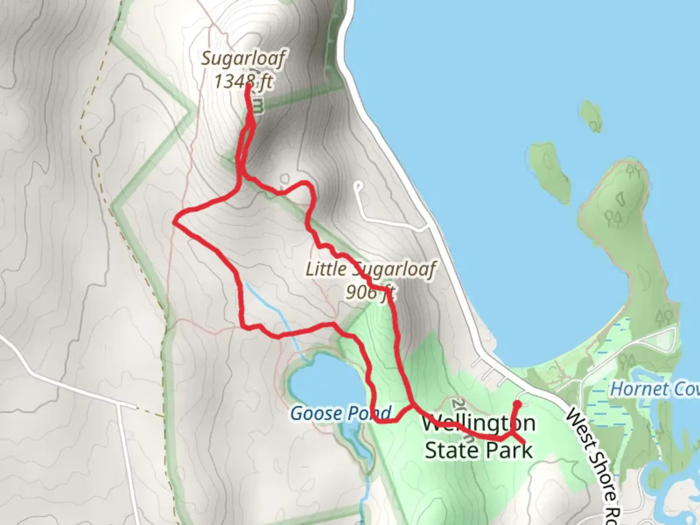 An image depicting the trail Little Sugarloaf, Sugarloaf and Goose Pond Loop Trail and its surrounding area.