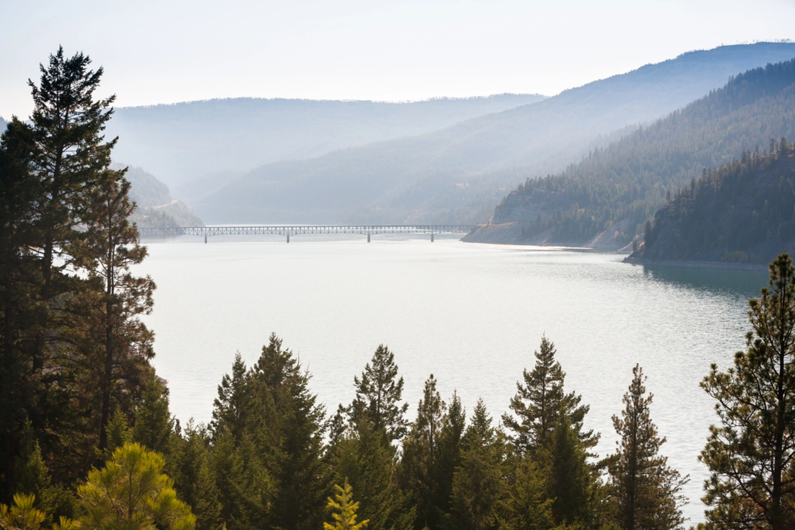 An image depicting the trail Webb Mountain Trail and its surrounding area.