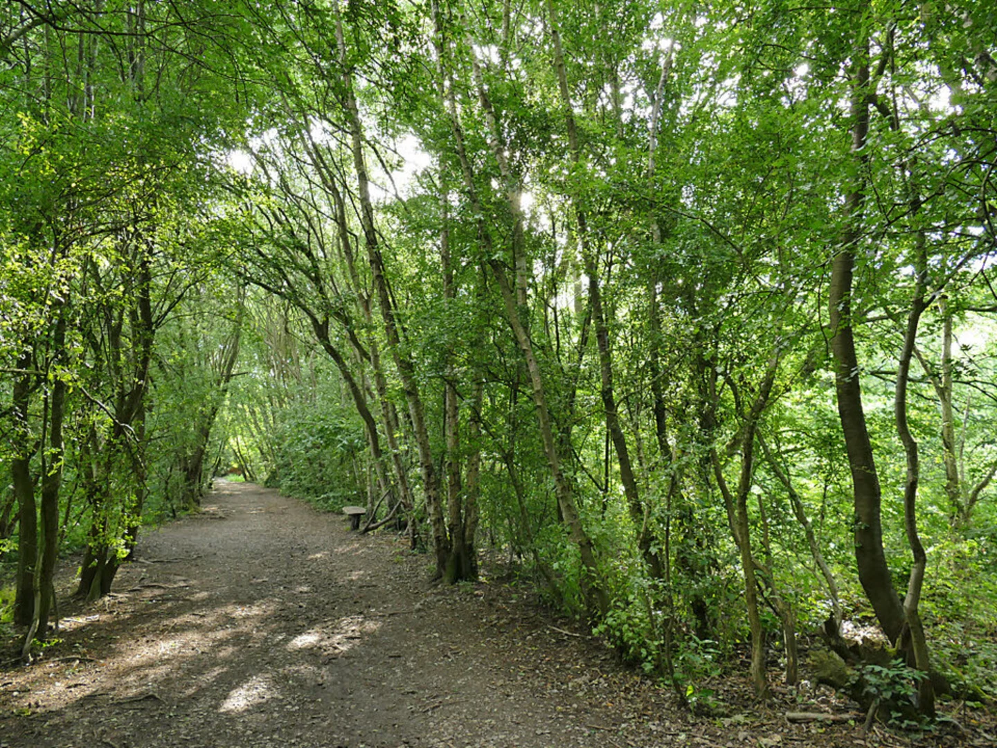 An image depicting the trail Oakwell Country Park Loop and its surrounding area.