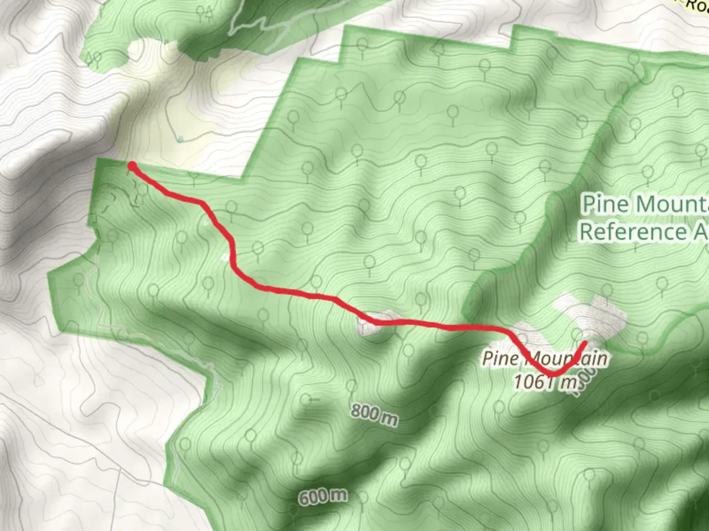 An image depicting the trail Pine Mountain and Rocky Knob Trail and its surrounding area.