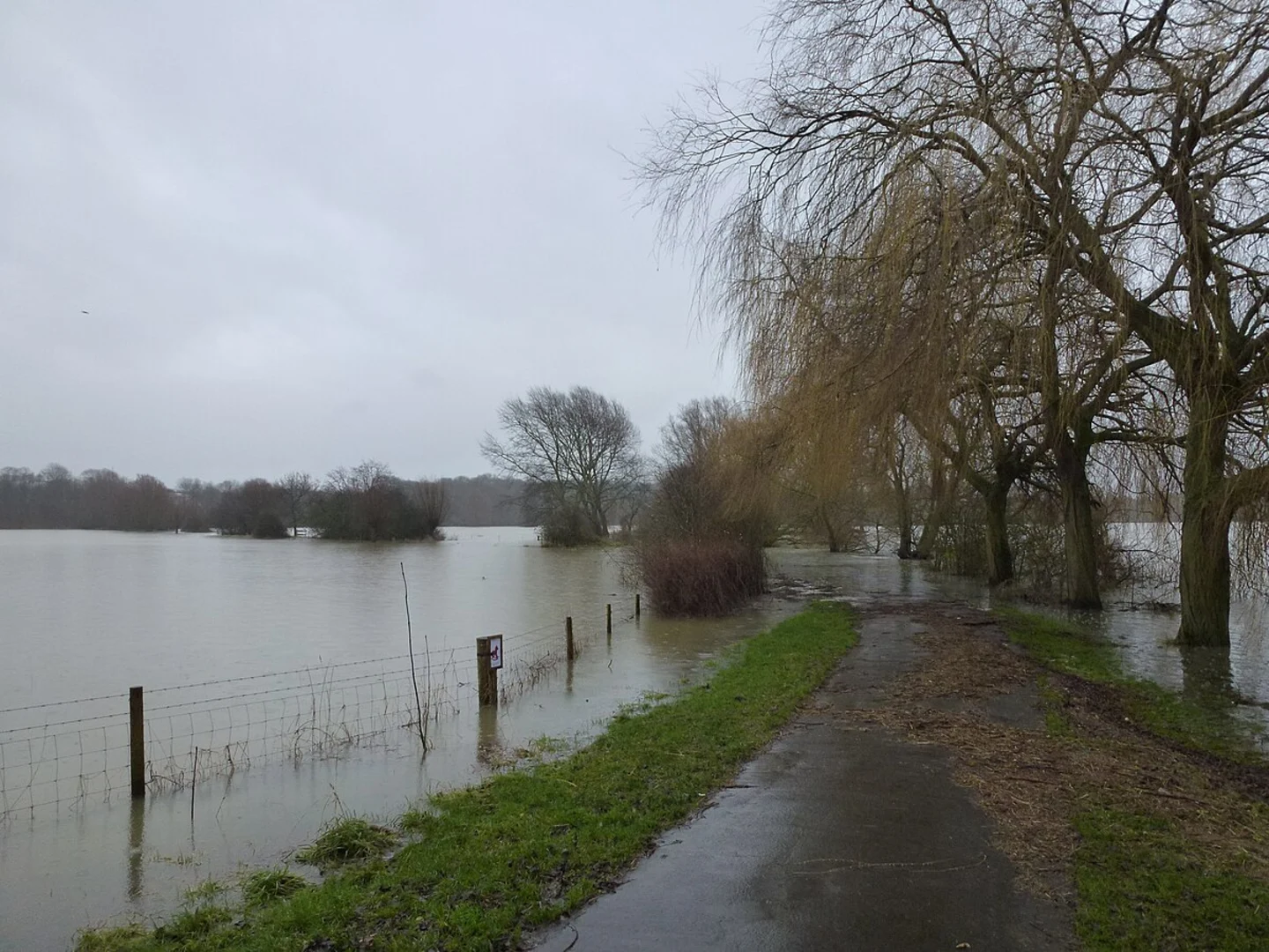 An image depicting the trail Nene Park Short Loop and its surrounding area.
