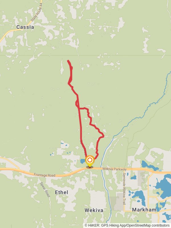 Florida Trail, Sand Road and Pine Road Loop