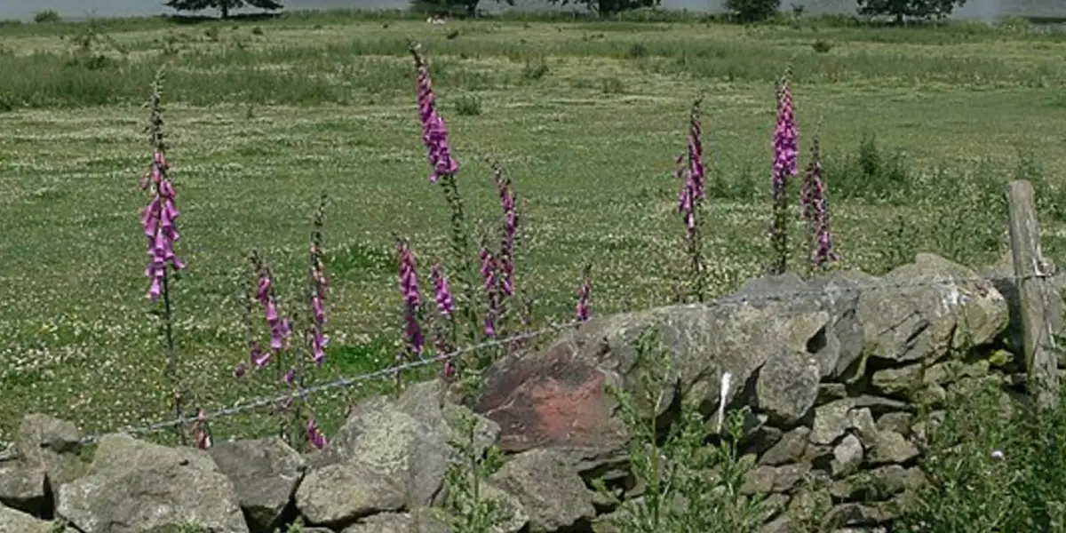 Blackbrook Reservoir and Nanpantan from Mount St Bernard