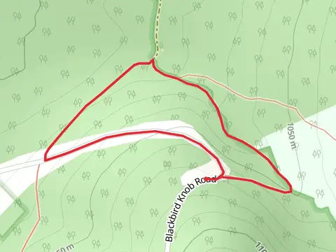 Blackbird Knob Road Loop