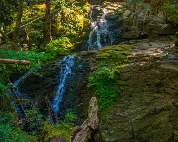 Horseshoe Falls Trail Skamania County Washington