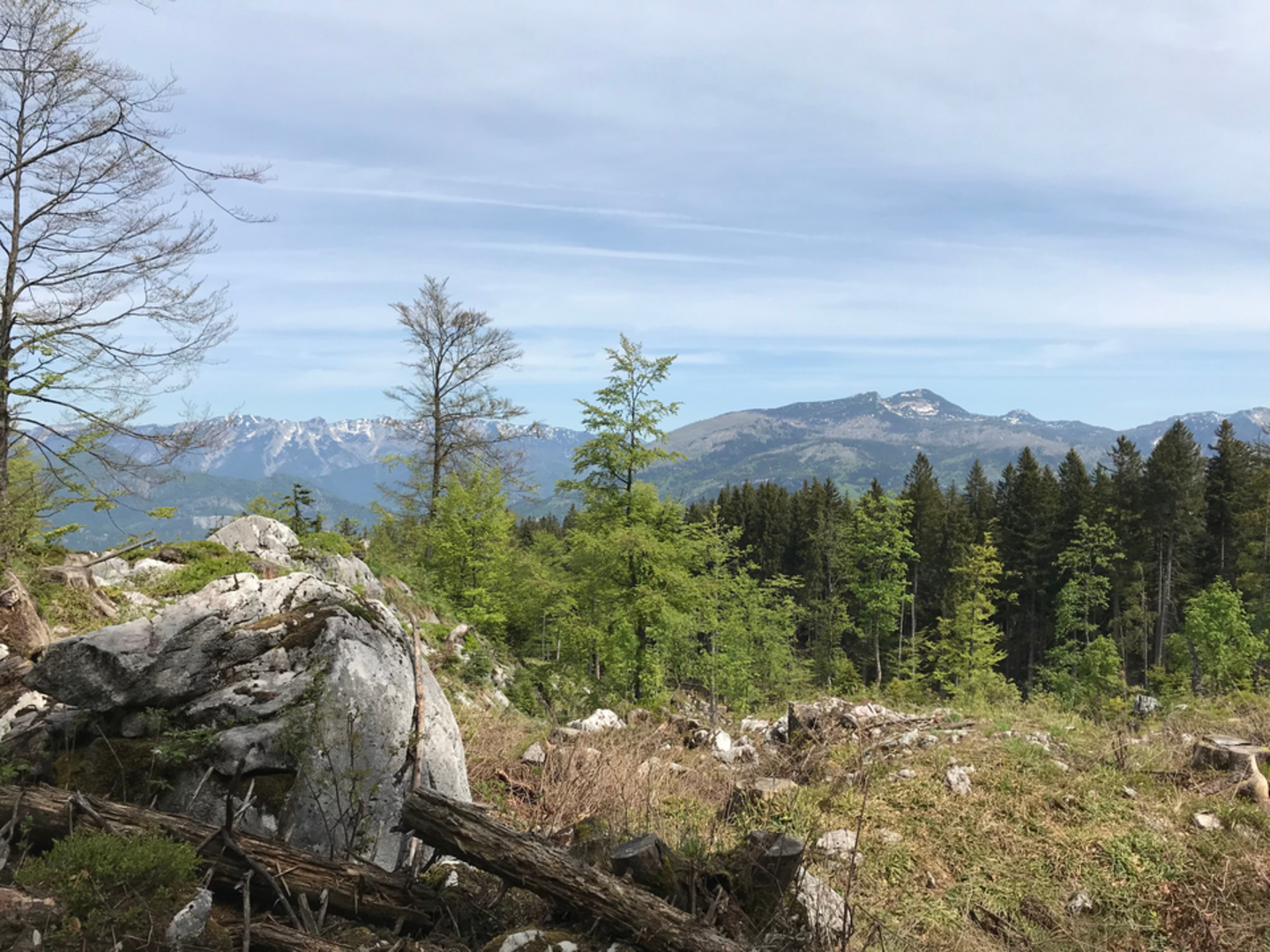 An image depicting the trail Hütteneckalm and its surrounding area.