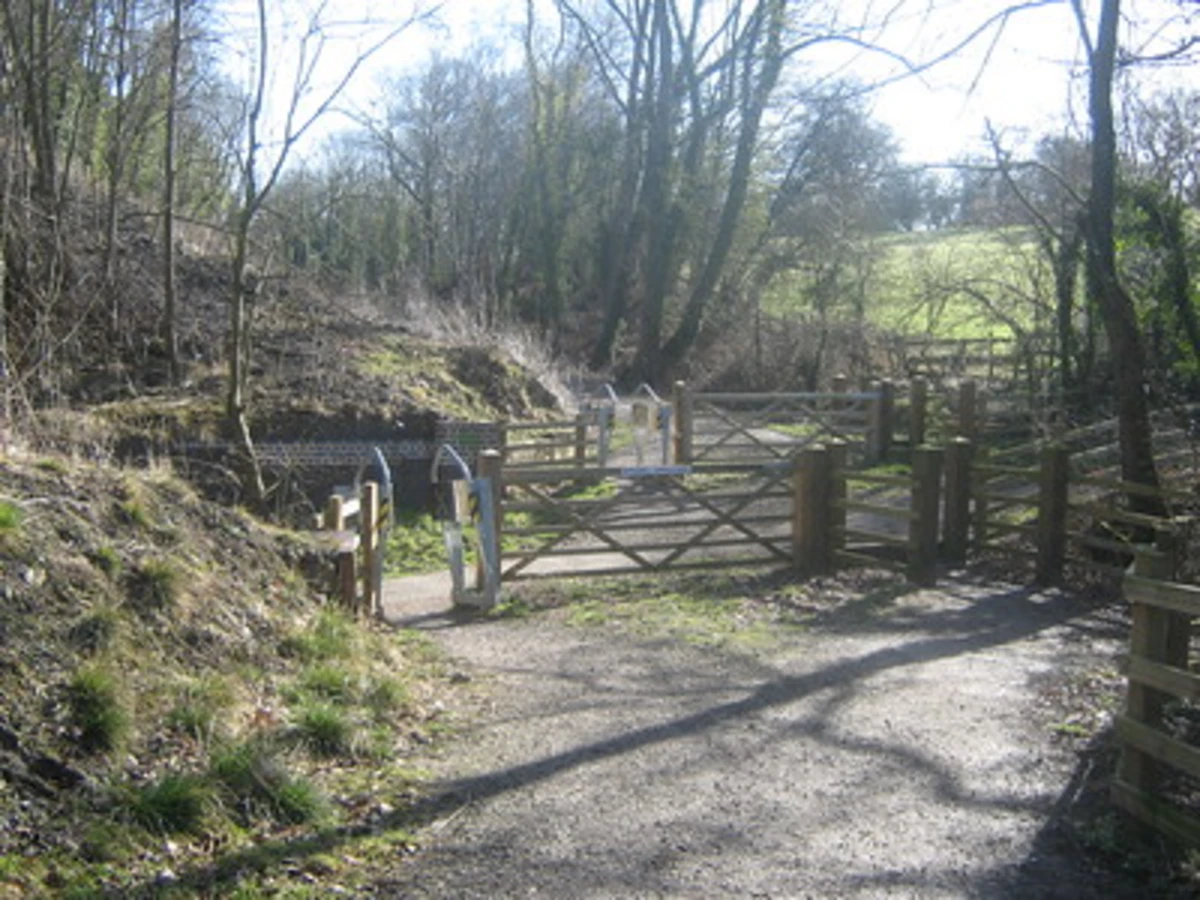Breadsall Railway Cutting and Great Northern Greenway