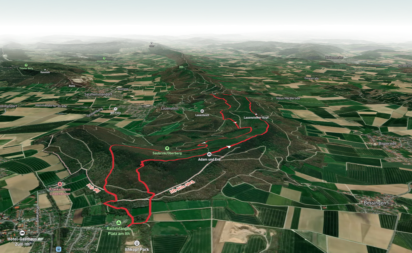 Fahnenstein, Lauensteiner Kopf and Naturwald Saubrink Loop via Roswitha Weg