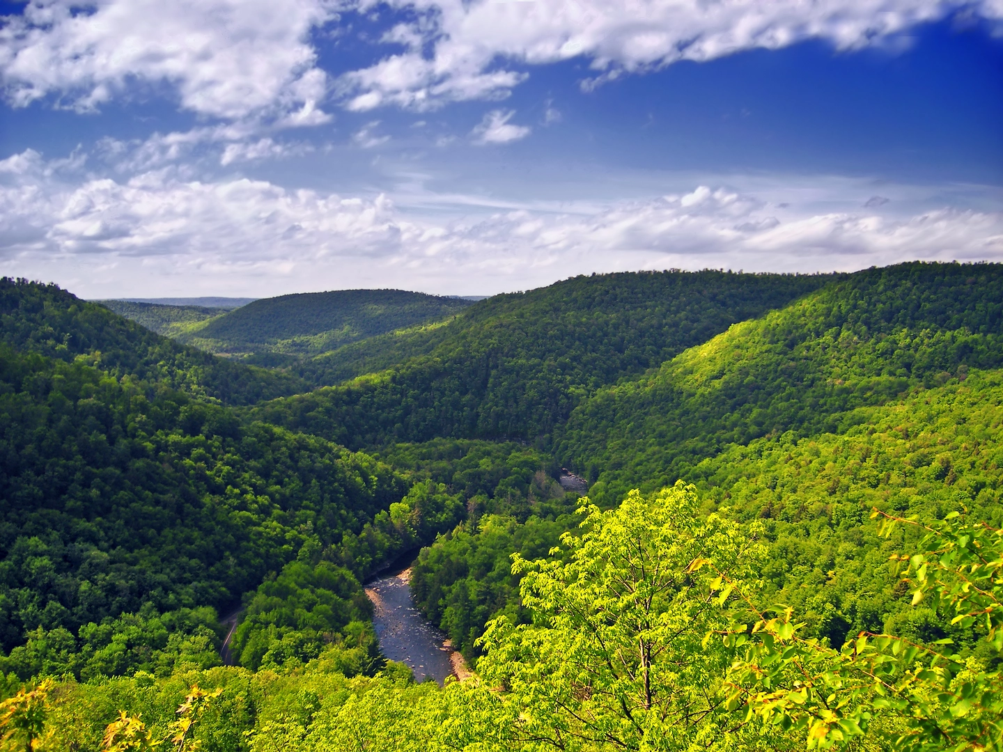 An image depicting the trail High Rock Trail Loop - Red and its surrounding area.