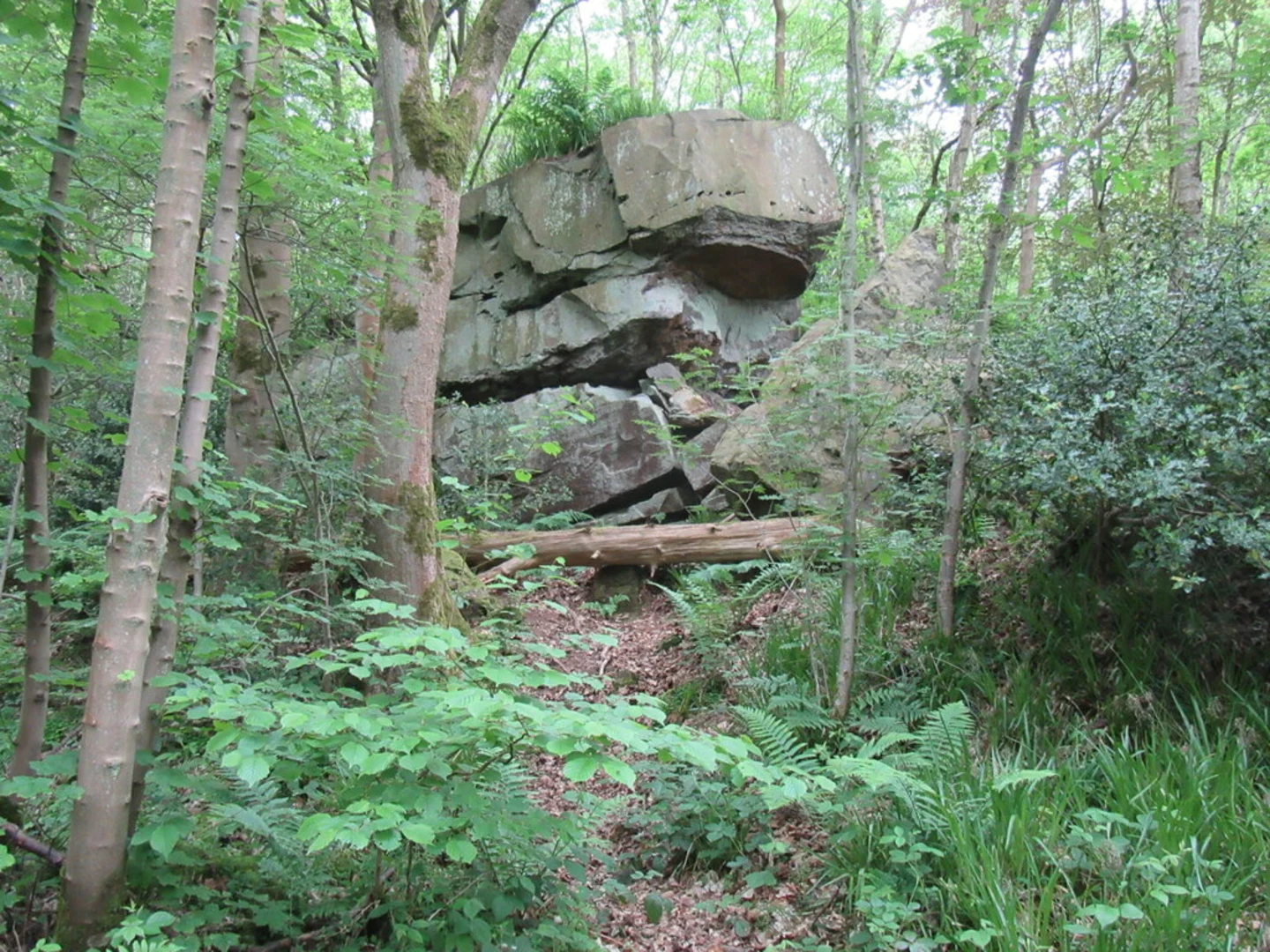 An image depicting the trail Esk Valley Walk along River Esk and its surrounding area.