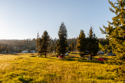An image depicting the trail Natural Bridge Trail and its surrounding area.