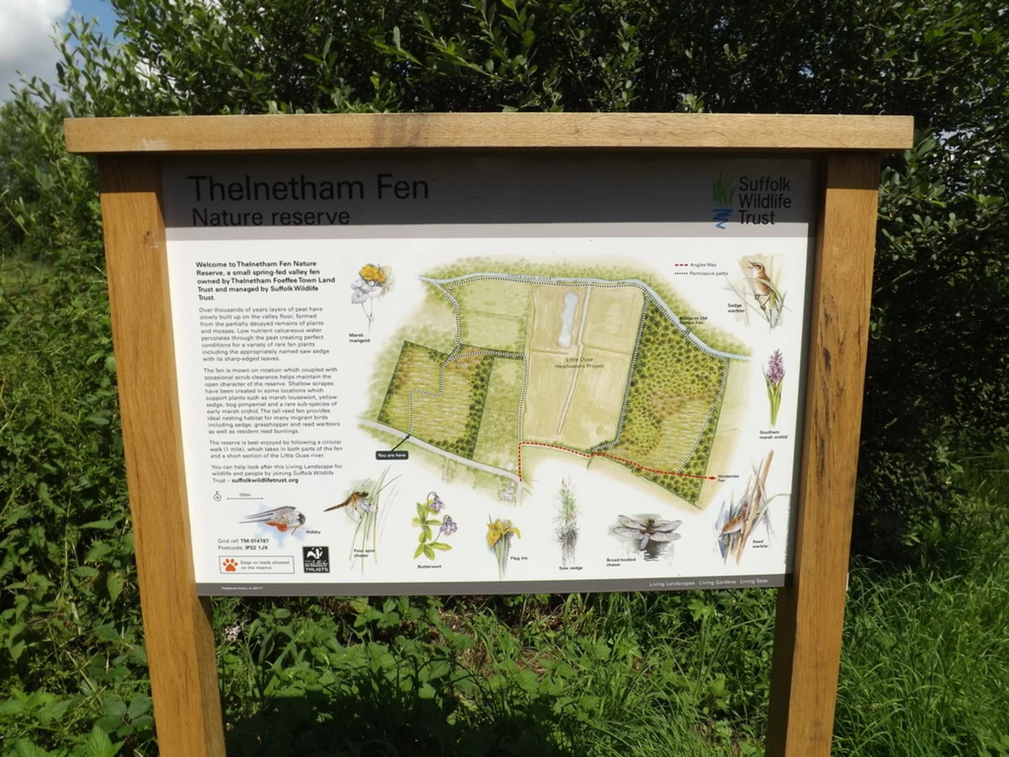 An image depicting the trail Thelnetham Wood Loop and its surrounding area.