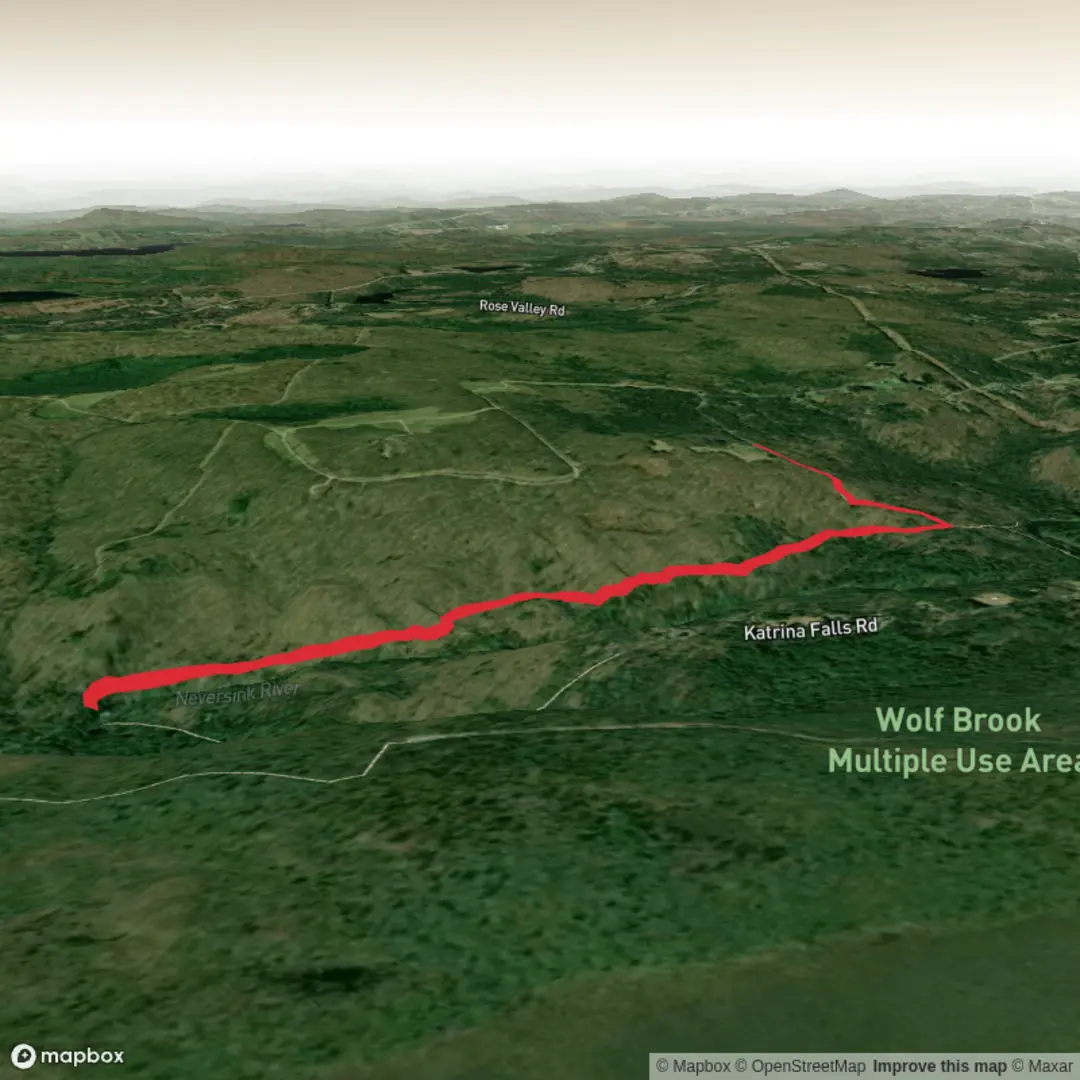 An image depicting the trail Neversink River from Hiram Jones Road and its surrounding area.