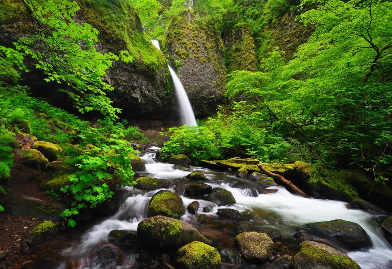 An image depicting the trail Horsetail Falls Trail and its surrounding area.