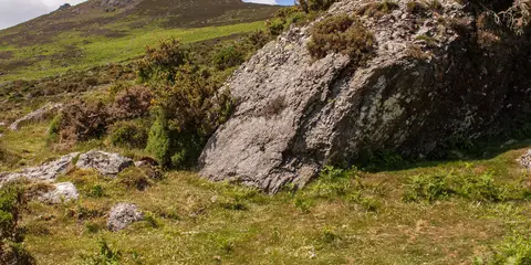 An image depicting the trail Boolas Loop and its surrounding area.