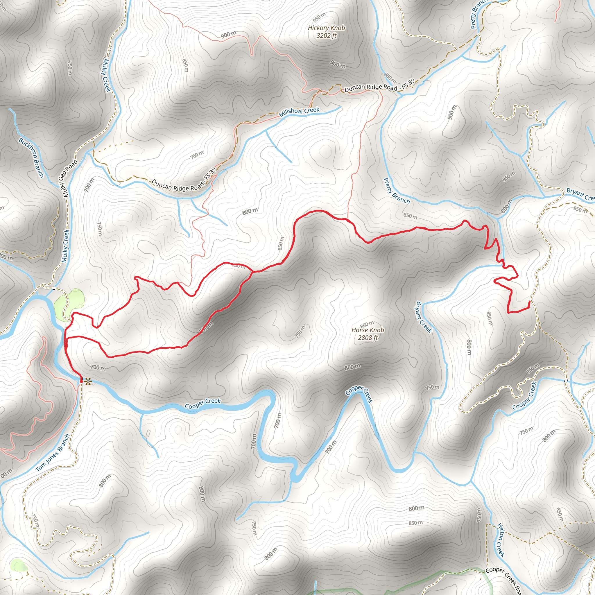 Mill Shoals and Yellow Mountain Loop Trail mobile static map