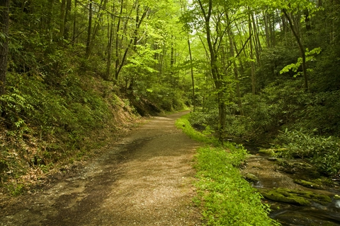 An image depicting the trail Schoolhouse Gap Trail and its surrounding area.