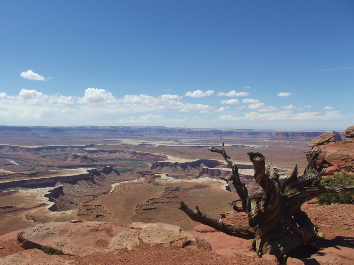 An image depicting the trail Murphy Point Trail and its surrounding area.