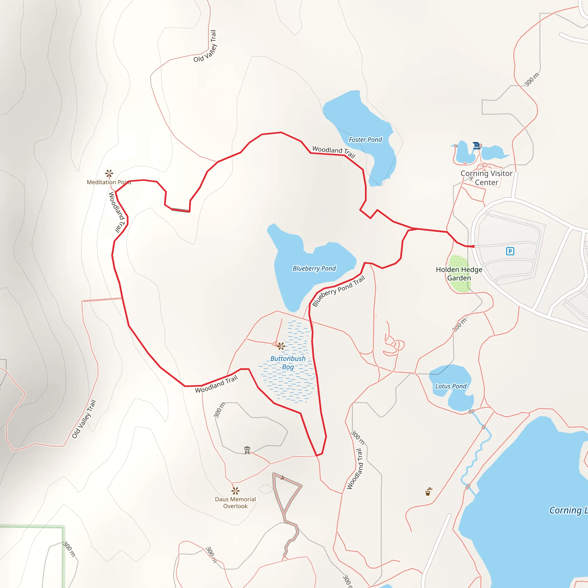Blueberry Pond via Woodland Loop Trail mobile static map
