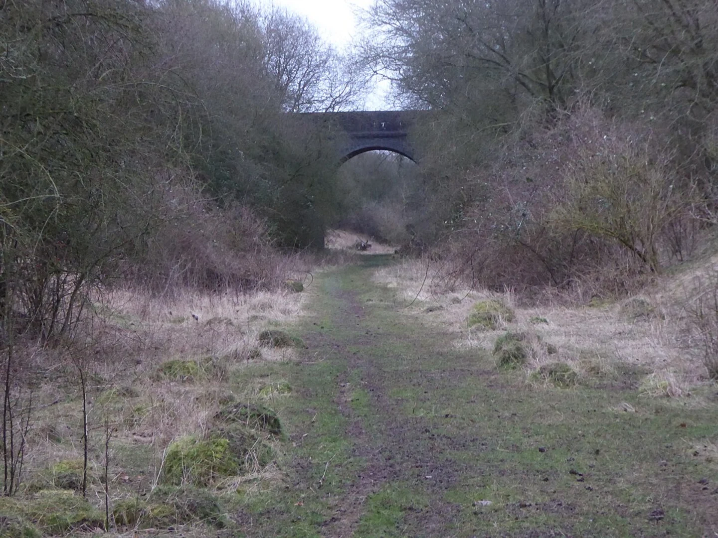 An image depicting the trail Jurassic Way and Woodford Halse Nature reserve and its surrounding area.