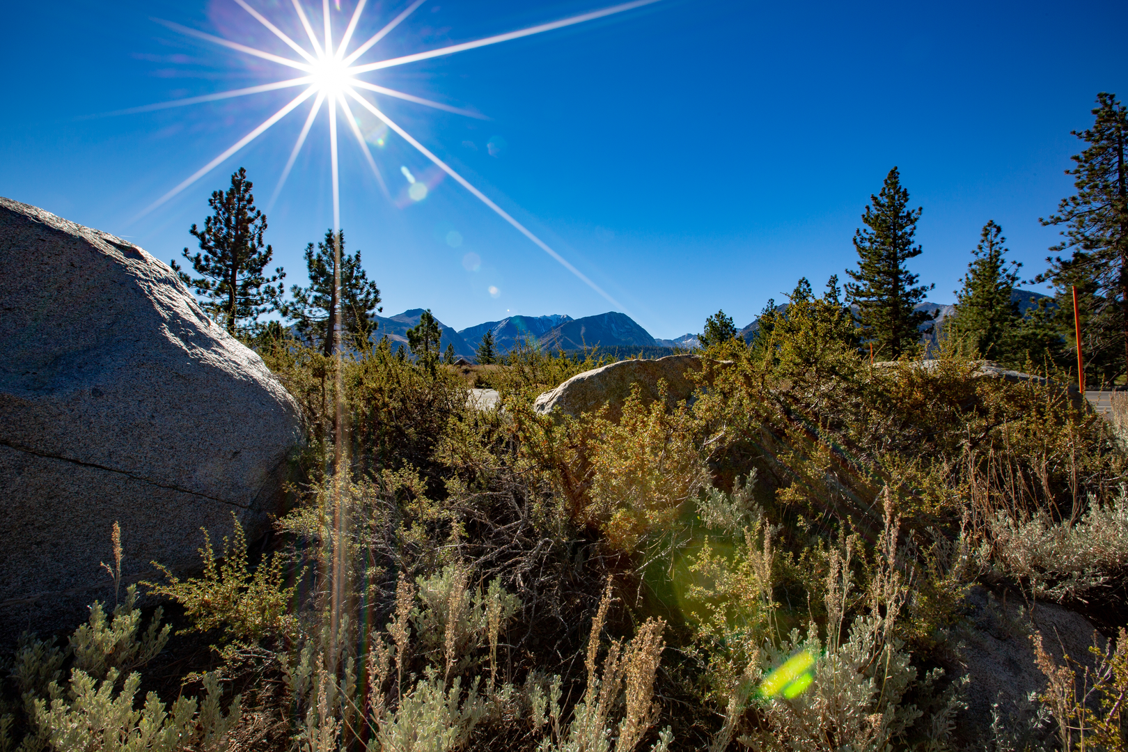 An image depicting the trail Cold Creek Trail and its surrounding area.