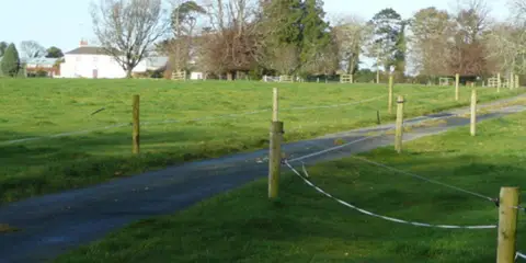 An image depicting the trail Coolgreany Ballyfad Wood Bluebell Trail and its surrounding area.