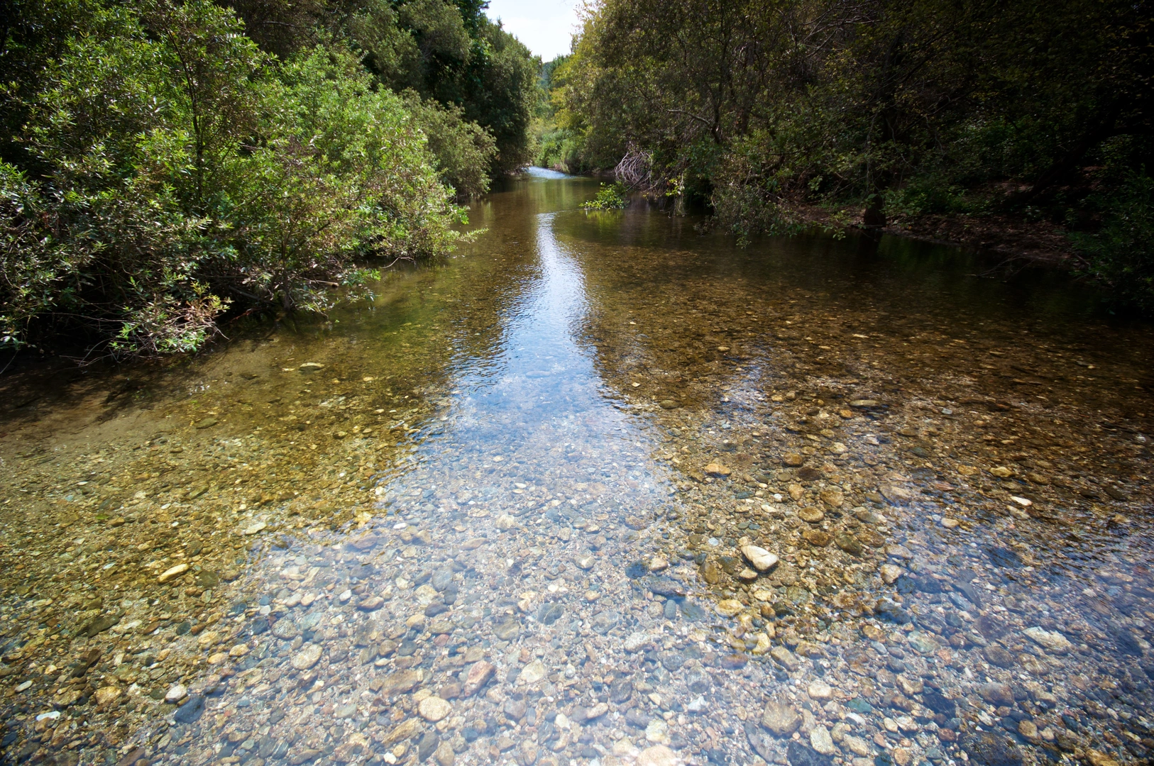 An image depicting the trail Big Sur River and its surrounding area.