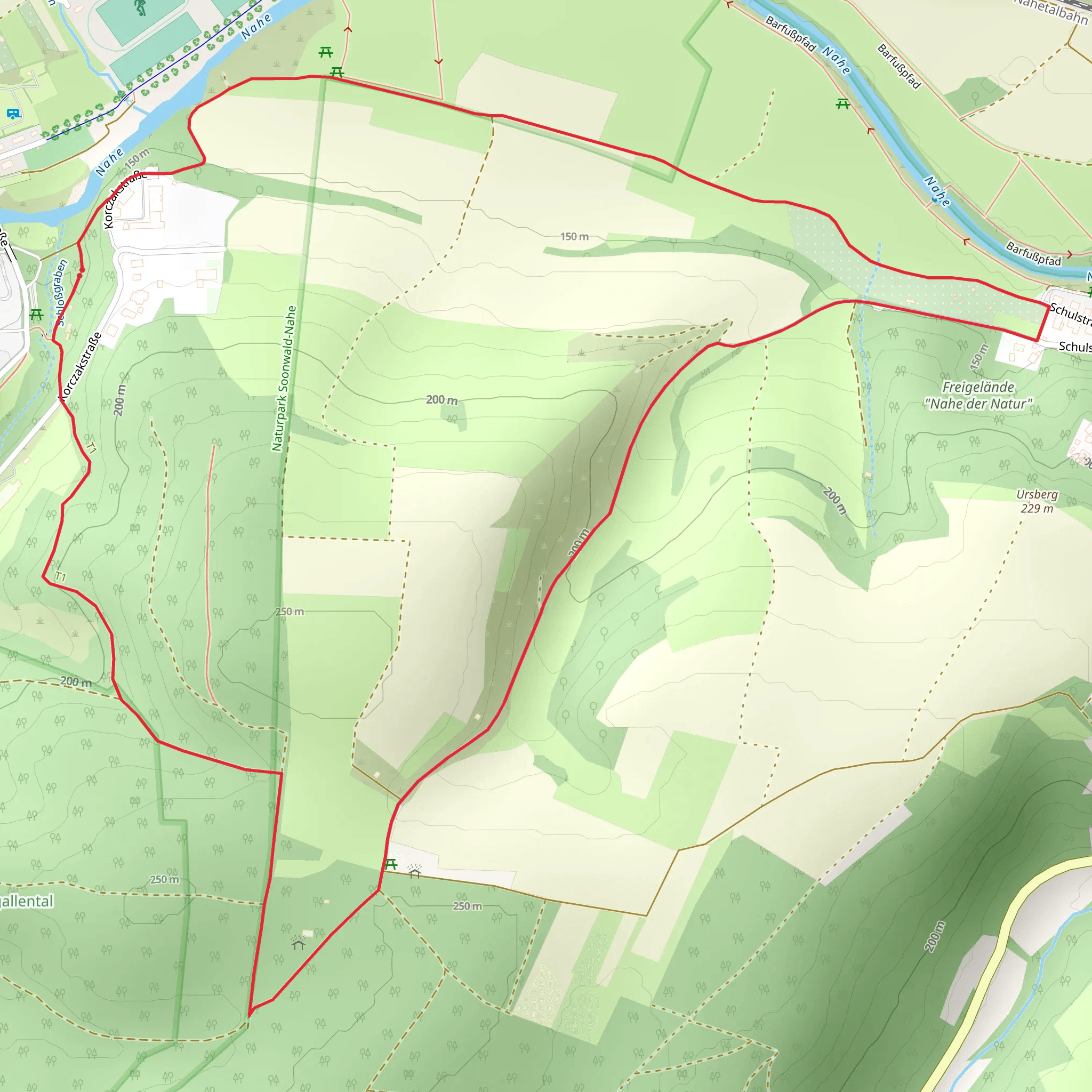 Pfarrwald Loop mobile static map