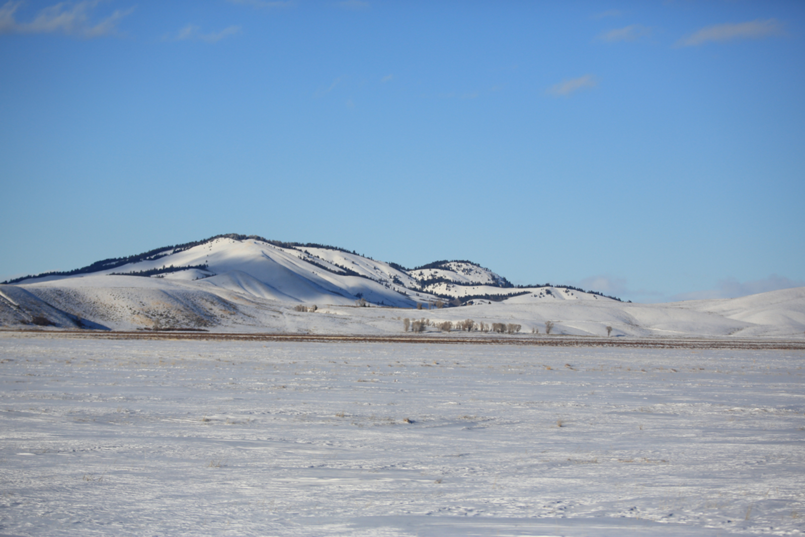 An image depicting the trail Blacktail Butte Trail and its surrounding area.
