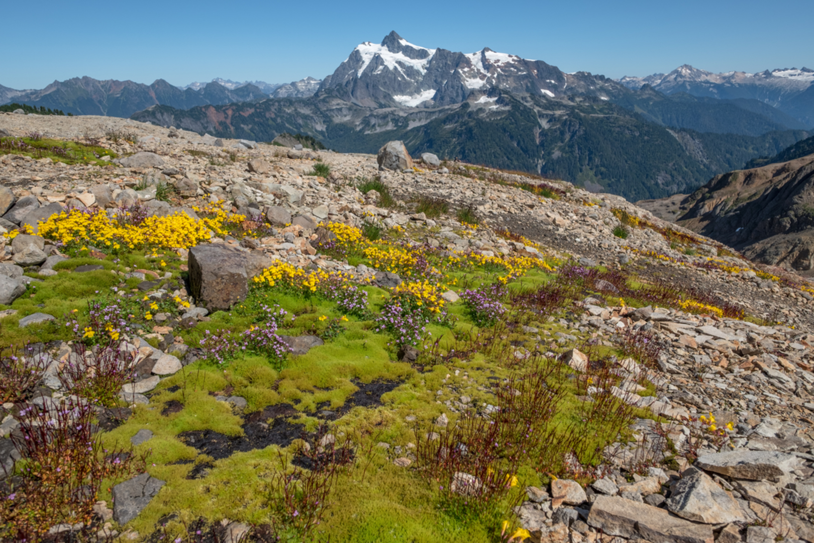An image depicting the trail Ptarmigan Ridge Trail and its surrounding area.