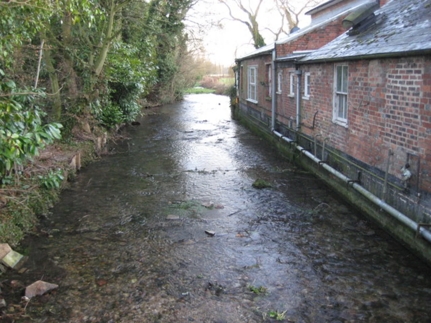 An image depicting the trail Great Shefford, Lambourn and South Fawley Loop and its surrounding area.