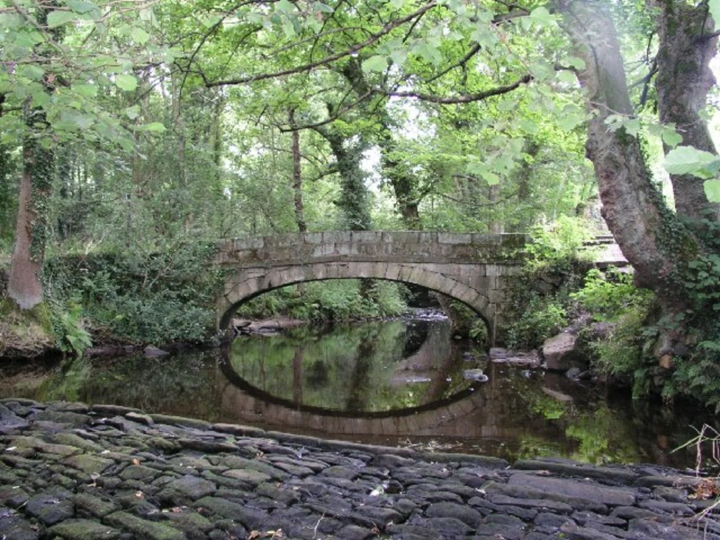 An image depicting the trail Rivelin Valley Nature Trail and its surrounding area.