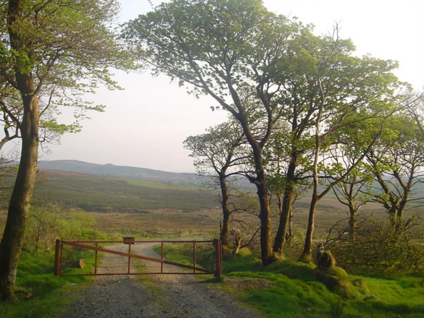 An image depicting the trail Croaghan Way and its surrounding area.