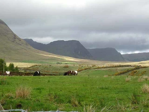 An image depicting the trail Barnahowna Mountain Loop Walk and its surrounding area.