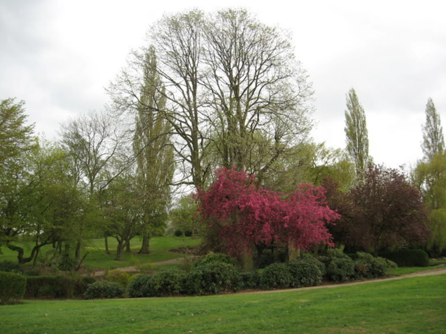 An image depicting the trail Hemsworth Water Park Loop and its surrounding area.