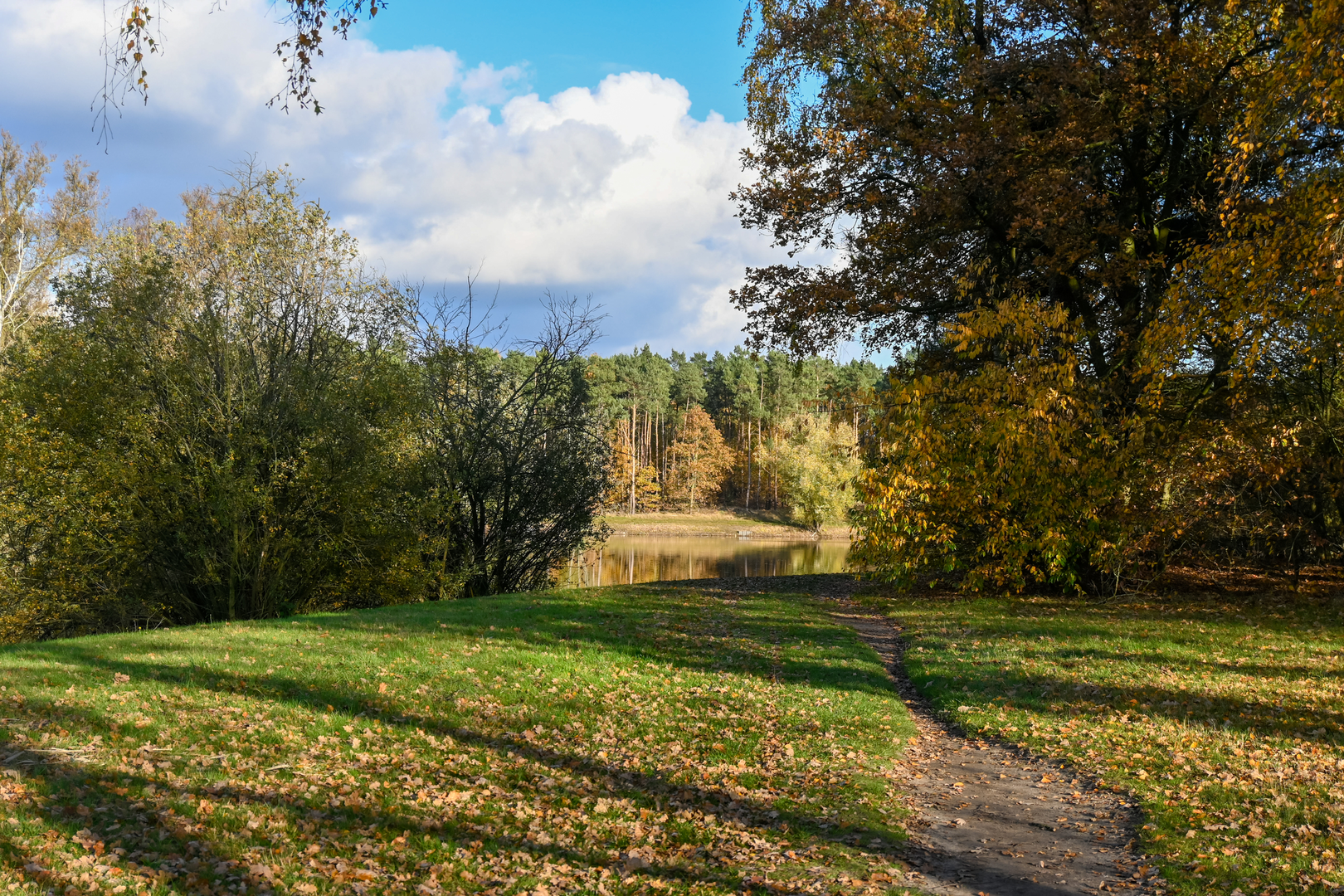An image depicting the trail Meeuwven via De Hurken and its surrounding area.