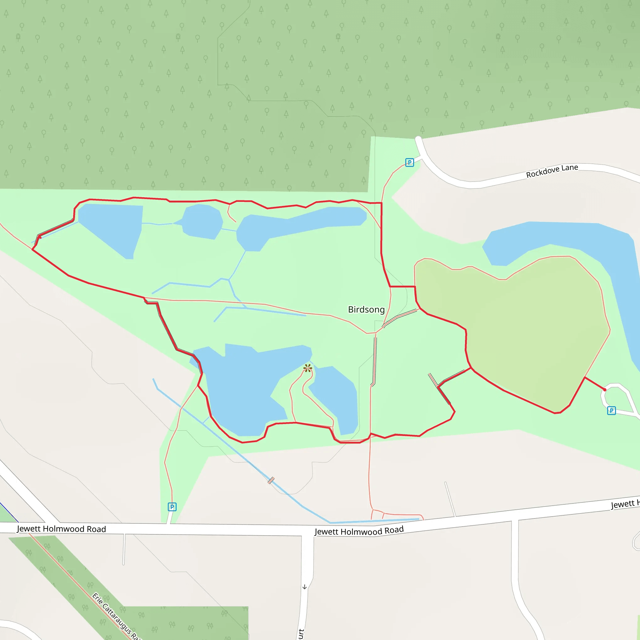Birdsong Loop Trail mobile static map