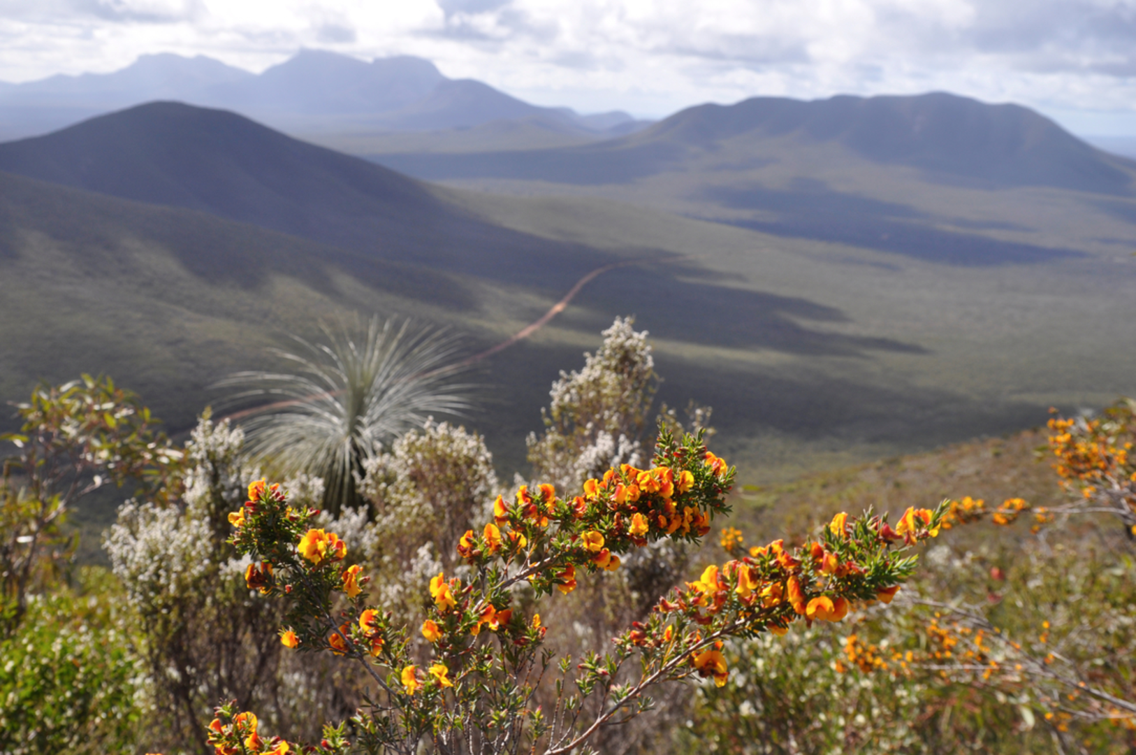 An image depicting the trail Mt Hassell Walk and its surrounding area.