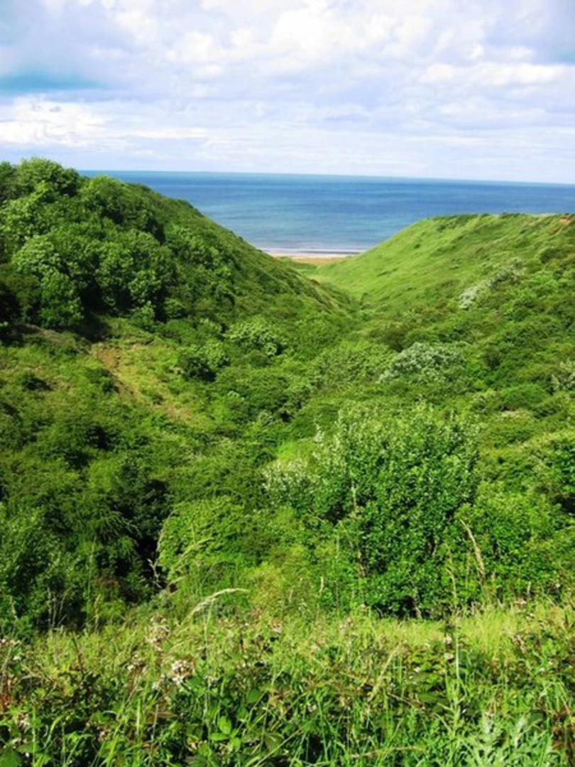 An image depicting the trail Blackhall Grasslands Local Nature Reserve Loop and its surrounding area.