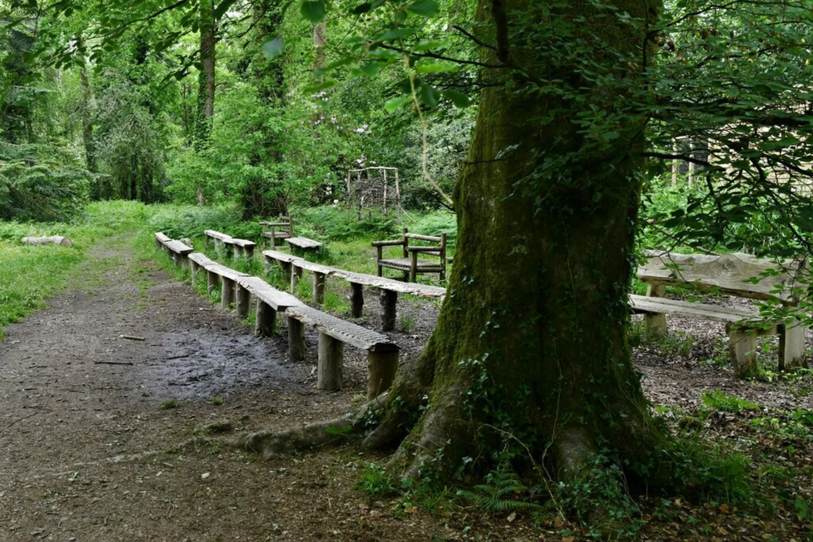 An image depicting the trail Picton Castle Gardens Loop and its surrounding area.