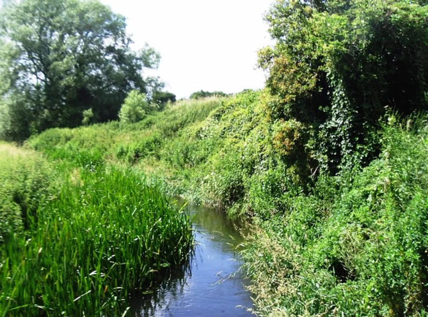 An image depicting the trail Wakes Colne to Colchester Walk and its surrounding area.