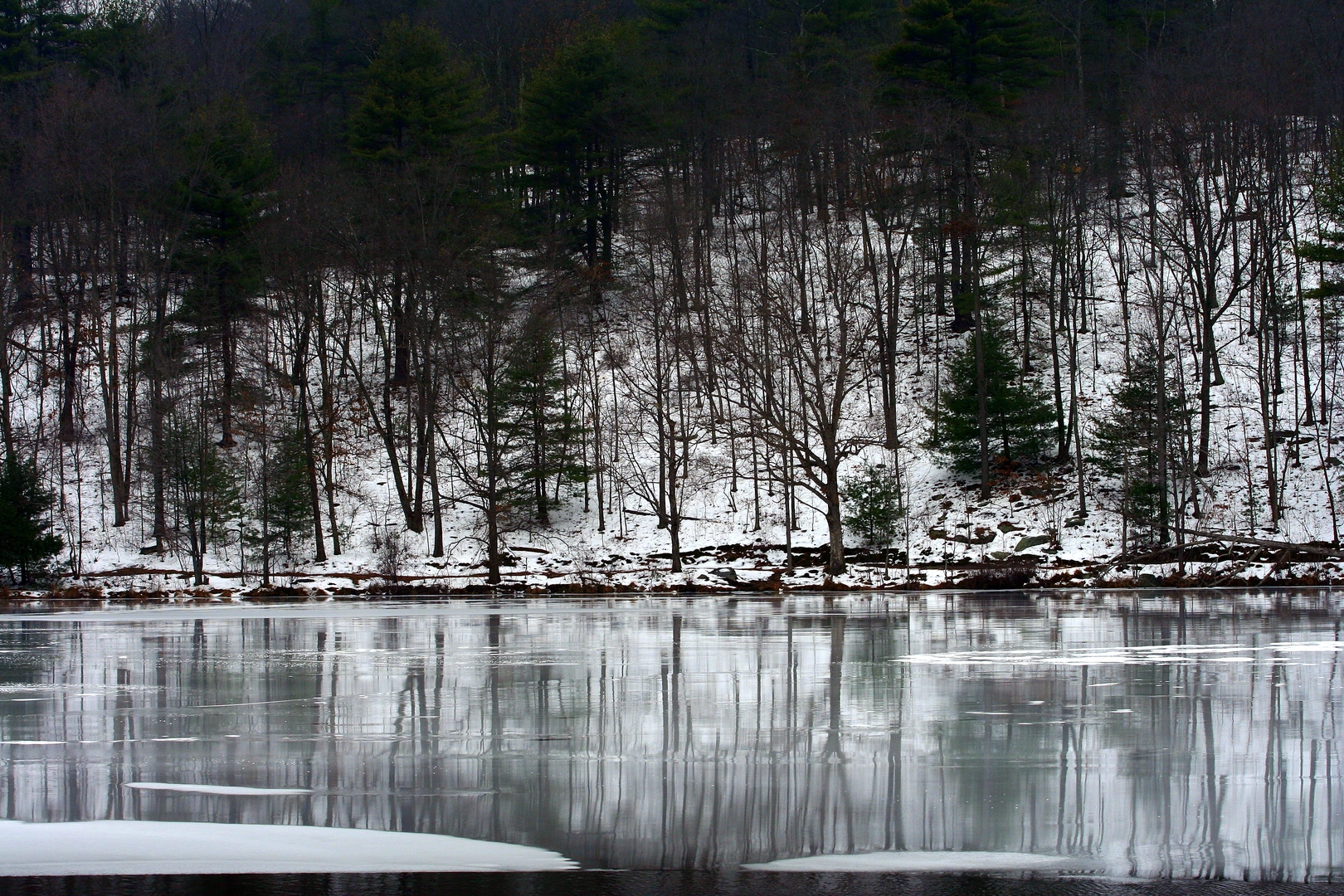 An image depicting the trail Frances Slocum Lake via Deer Trail and its surrounding area.