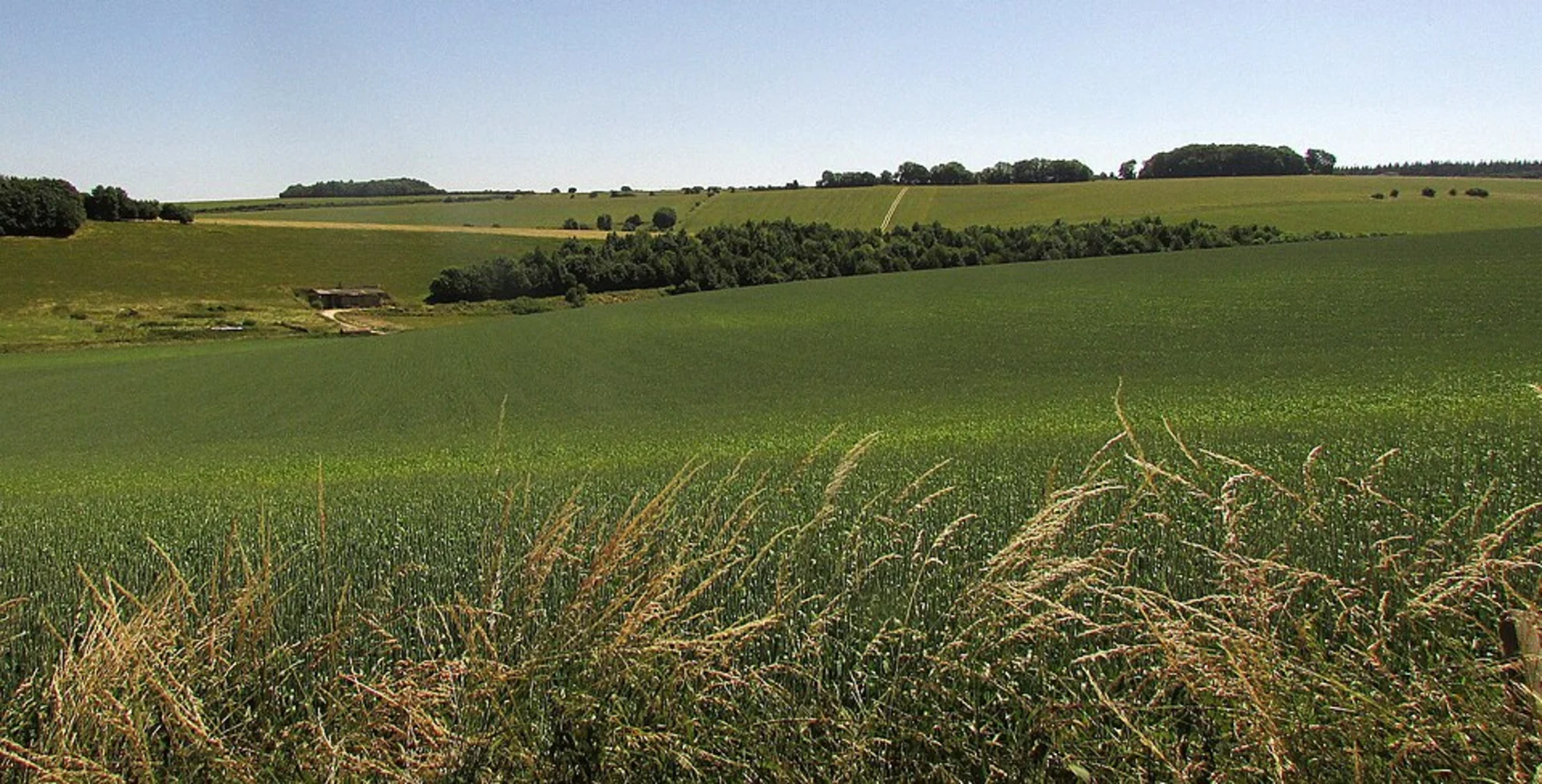 An image depicting the trail Bemmer Hills via Monarch's Way and its surrounding area.