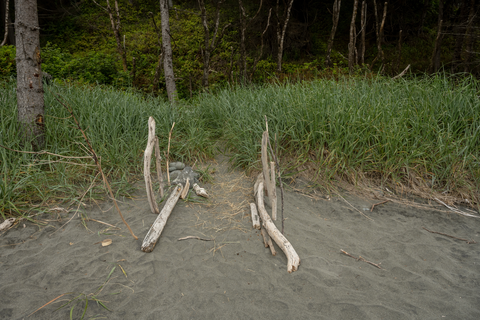 An image depicting the trail Carruthers Cove Trail and its surrounding area.