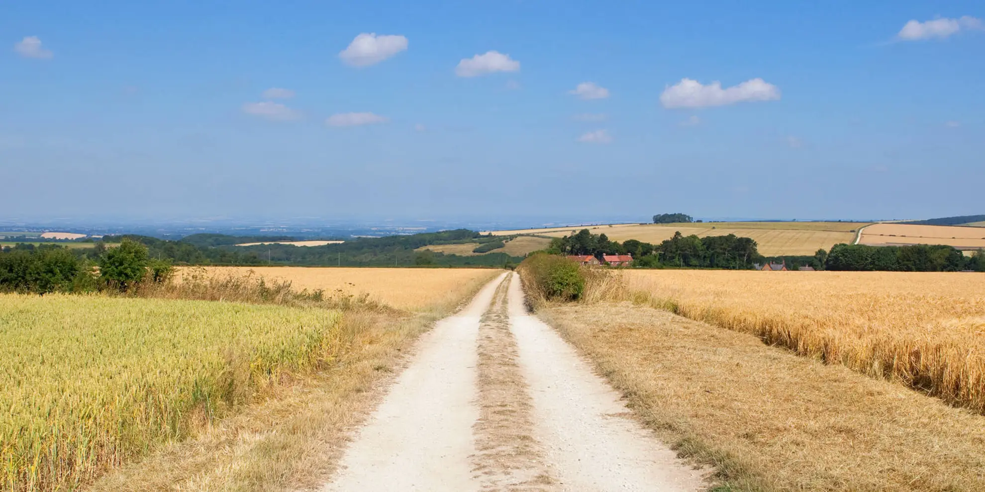 An image depicting the trail North Grimston - Birdsall and Wharram Percy and its surrounding area.